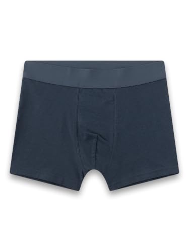 sanetta-jungen-hipshorts-grau-tiger-2er-set-baumwolle image 6