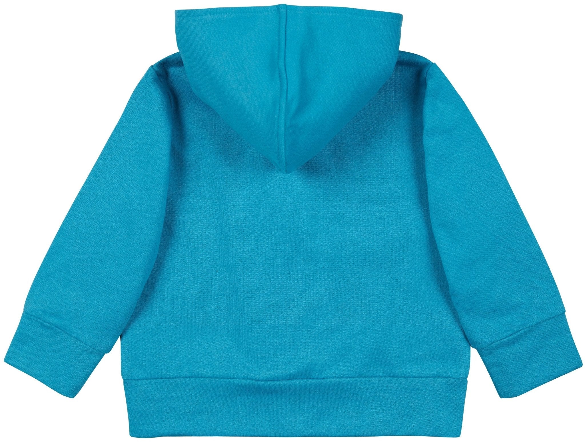 loud-proud-sweatjacke-mit-kapuze-samtige-oberfl-che image 8