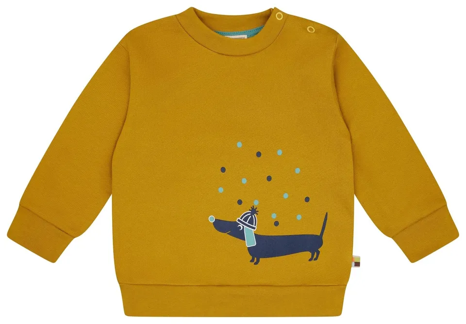 loud-proud-sweatshirt-mit-druckmotiv-dackel-bio-baumwoll-sweatshirt image 1
