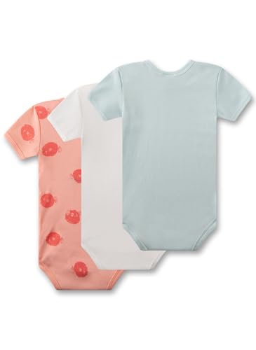 sanetta-baby-body-kurzarm-3er-set-orange-blau-kugelfisch-bio-baumwolle image 6