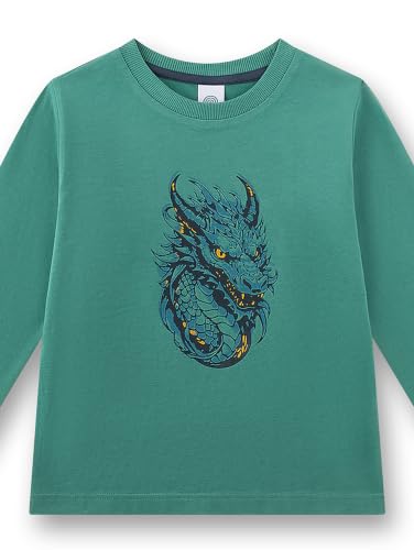 sanetta-jungen-pyjamaset-233818-baumwolle-jungenpyjama image 6