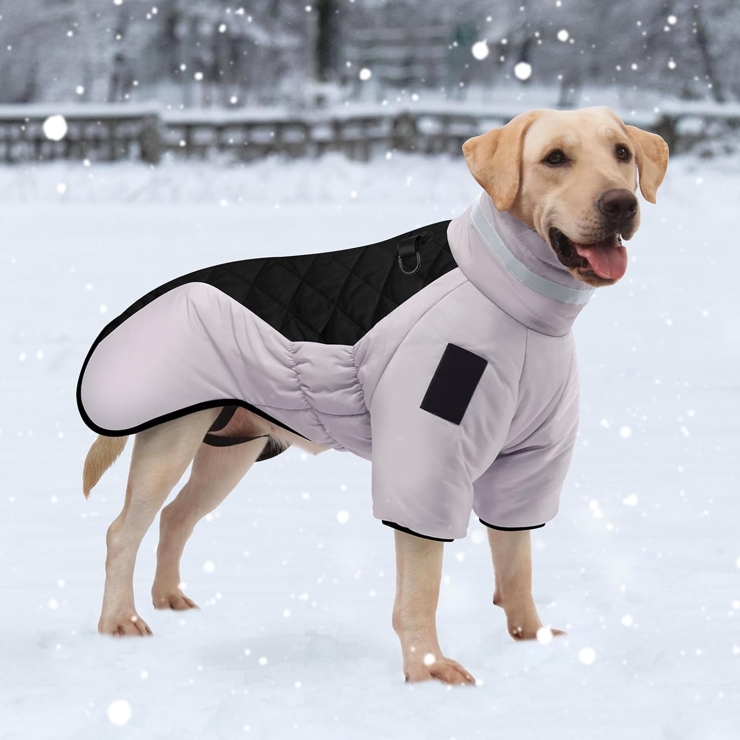 desoto-hundemantel-wasserdicht-winter-5xl-warme-hundejacke-gro-e-hunde image 5
