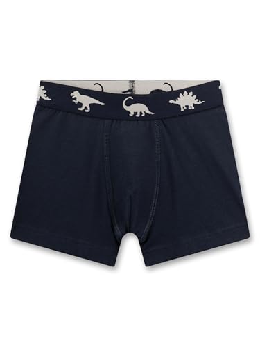 sanetta-jungen-hipshorts-2er-pack-dunkelblau-hellblau-dino-unterhose-elastisch image 6