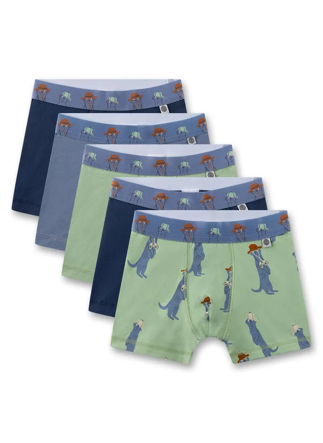 sanetta-jungen-hipshorts-5er-pack-erdm-nnchen-unterhosen-gr-n-dunkelblau-hellbla image 1