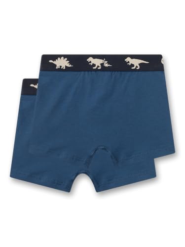 sanetta-jungen-hipshorts-2er-set-blau-dino-baumwolle image 5