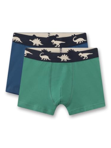 sanetta-jungen-337461-unterw-sche-jungen-slip-unterhose image 4