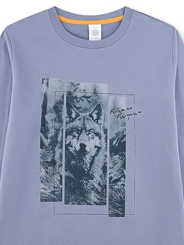 sanetta-jungen-schlafanzug-lang-blau-wolf-aus-baumwolle image 8