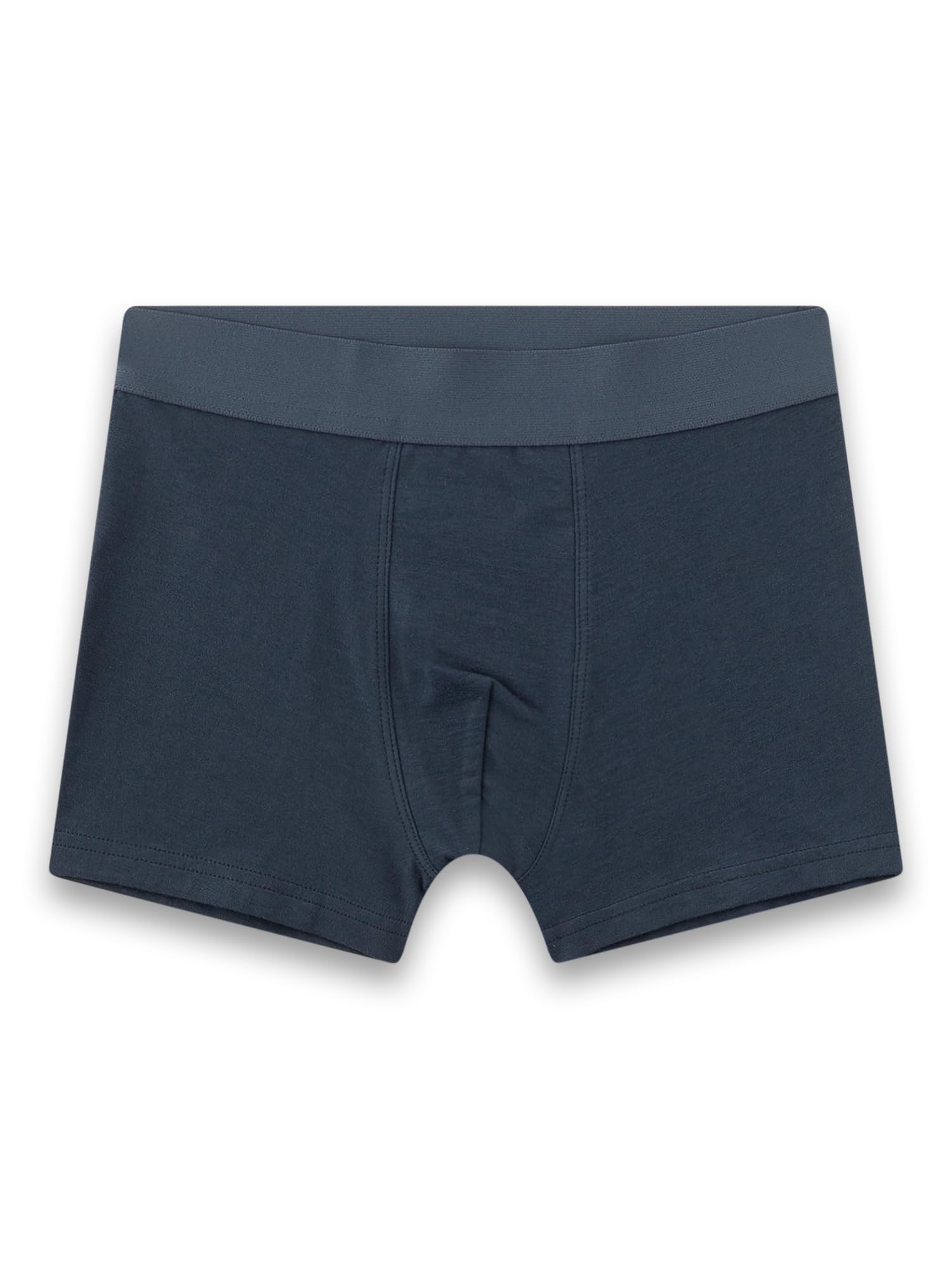 sanetta-jungen-hipshorts-grau-tiger-2er-set-baumwolle image 3