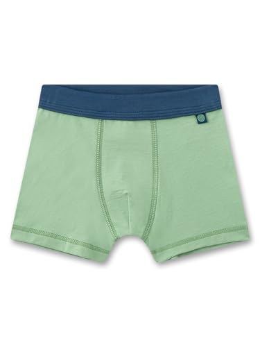 sanetta-jungen-boxershorts-doppelpack-blau-gr-n-krokodil-aus-bio-baumwolle image 6
