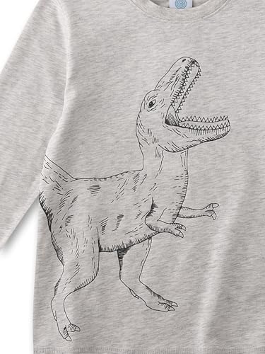 sanetta-jungen-schlafanzug-lang-grau-dinosaurier-bio-baumwolle image 6