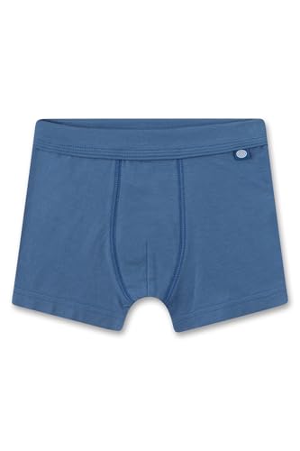 sanetta-jungen-hipshorts-doppelpack-blau-dinos-unterhose-aus-baumwoll-mix-2er-se image 6